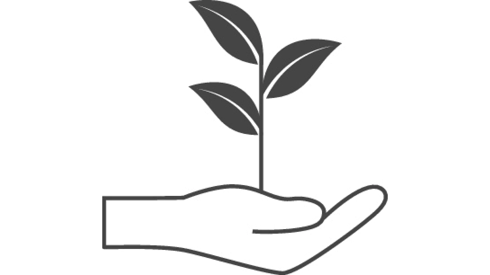 A simple black and white illustration of an open hand holding a small plant with three leaves made using tesa tape. (This text has been generated by AI)