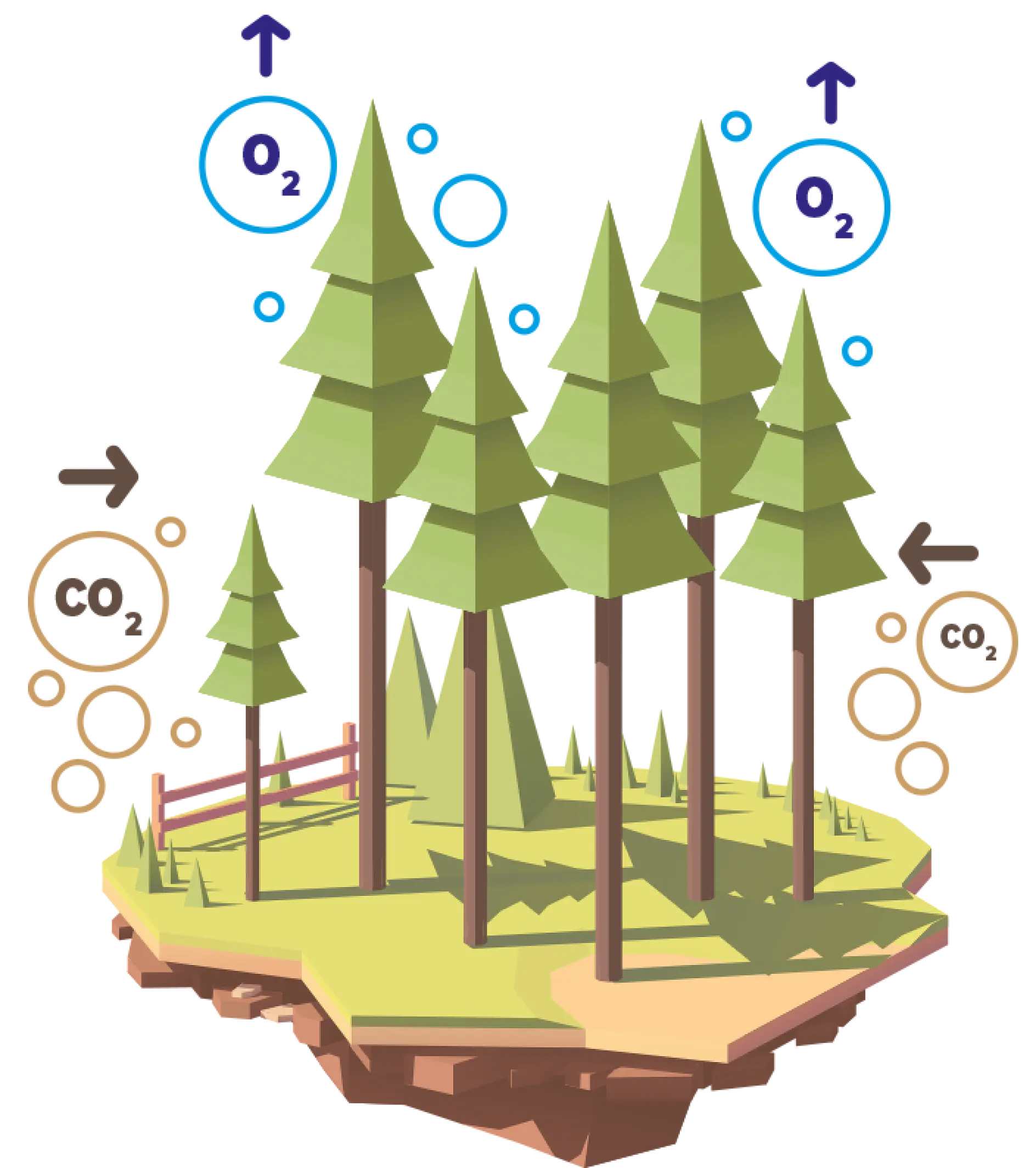 Illustration of an island with pine trees. Arrows and bubbles depict the exchange of gases: blue arrows and circles represent oxygen release, while brown arrows and circles indicate carbon dioxide absorption by the trees.