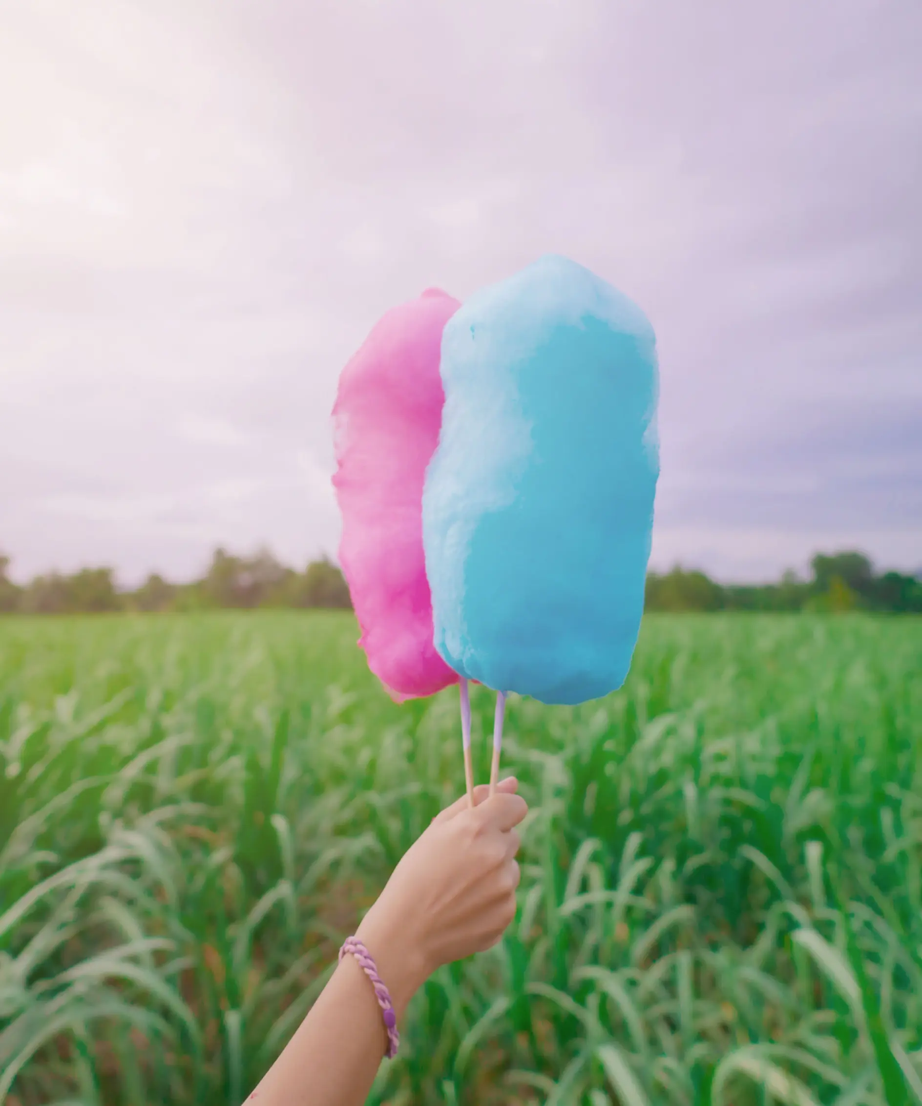 A hand holds two sticks of cotton candy, one pink and one blue, against a backdrop of a green field and a cloudy sky. The person is wearing a bracelet made with tesa tape on their wrist.