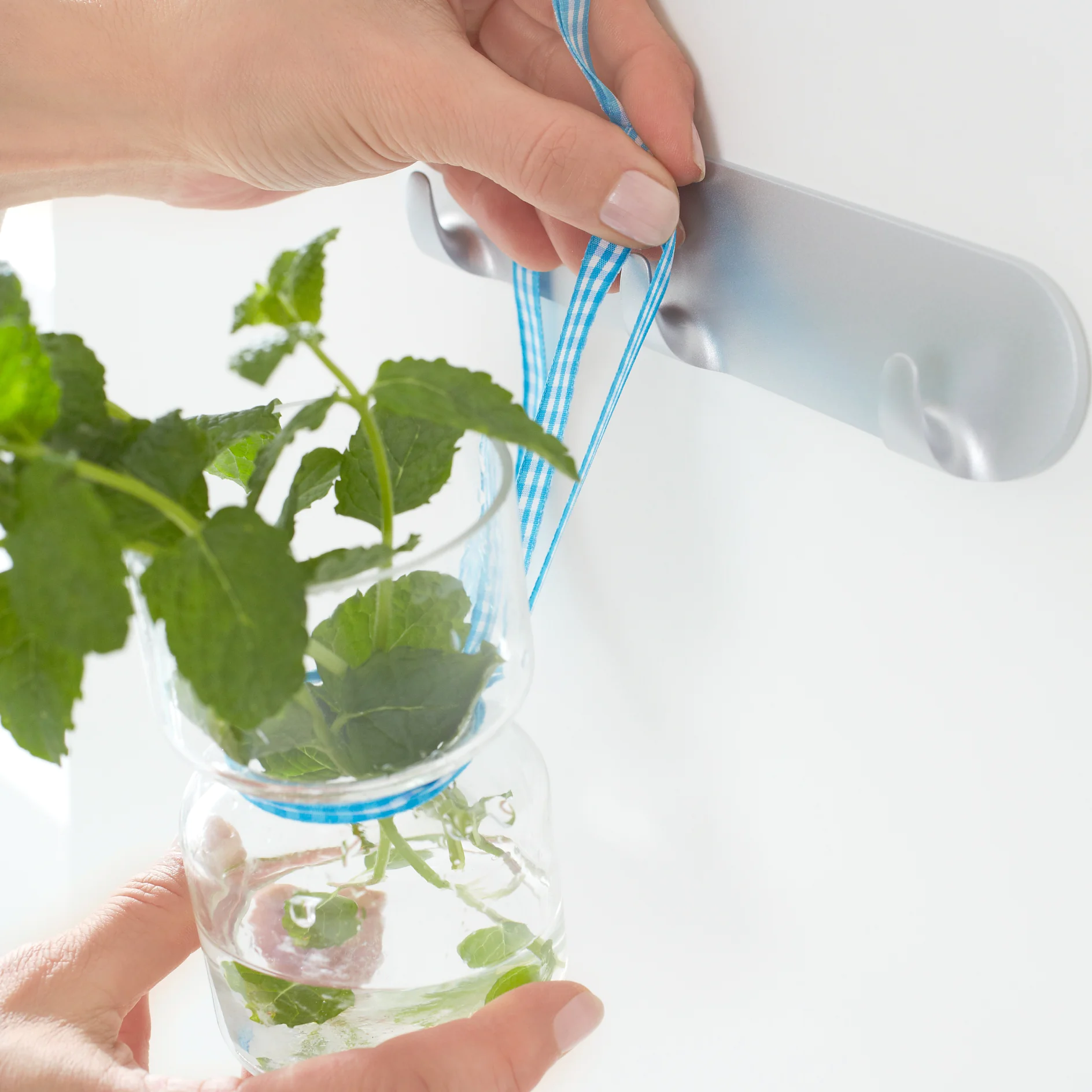 Herbs in glasses/Step 10