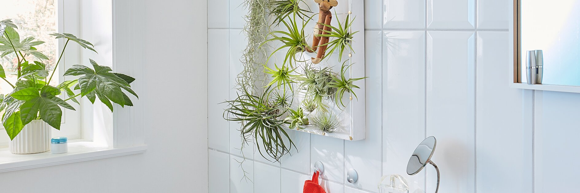 Create your own simple vertical garden!
