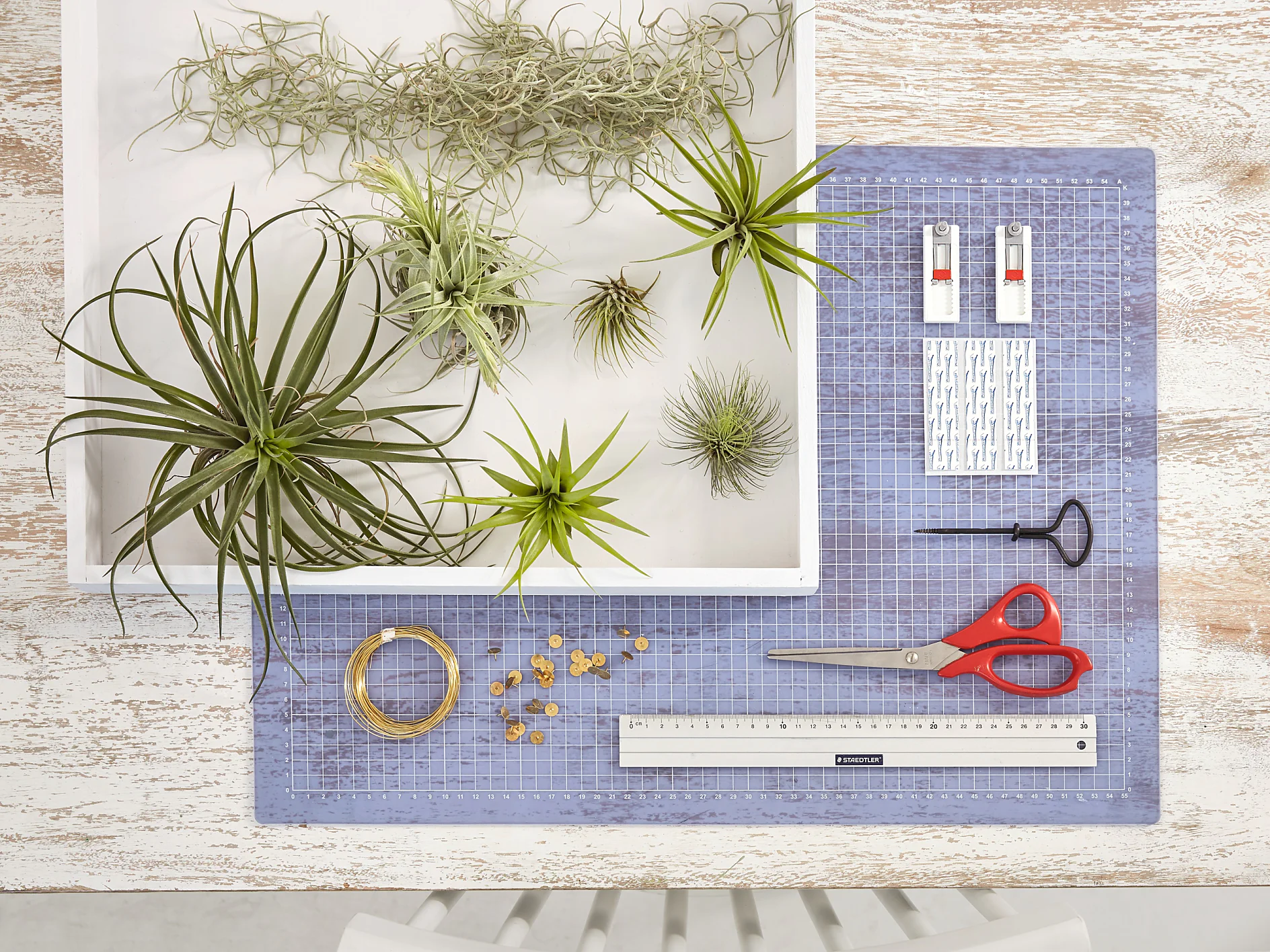 Materials needed for a simple DIY vertical garden Overview of materials needed for a simple DIY vertical garden