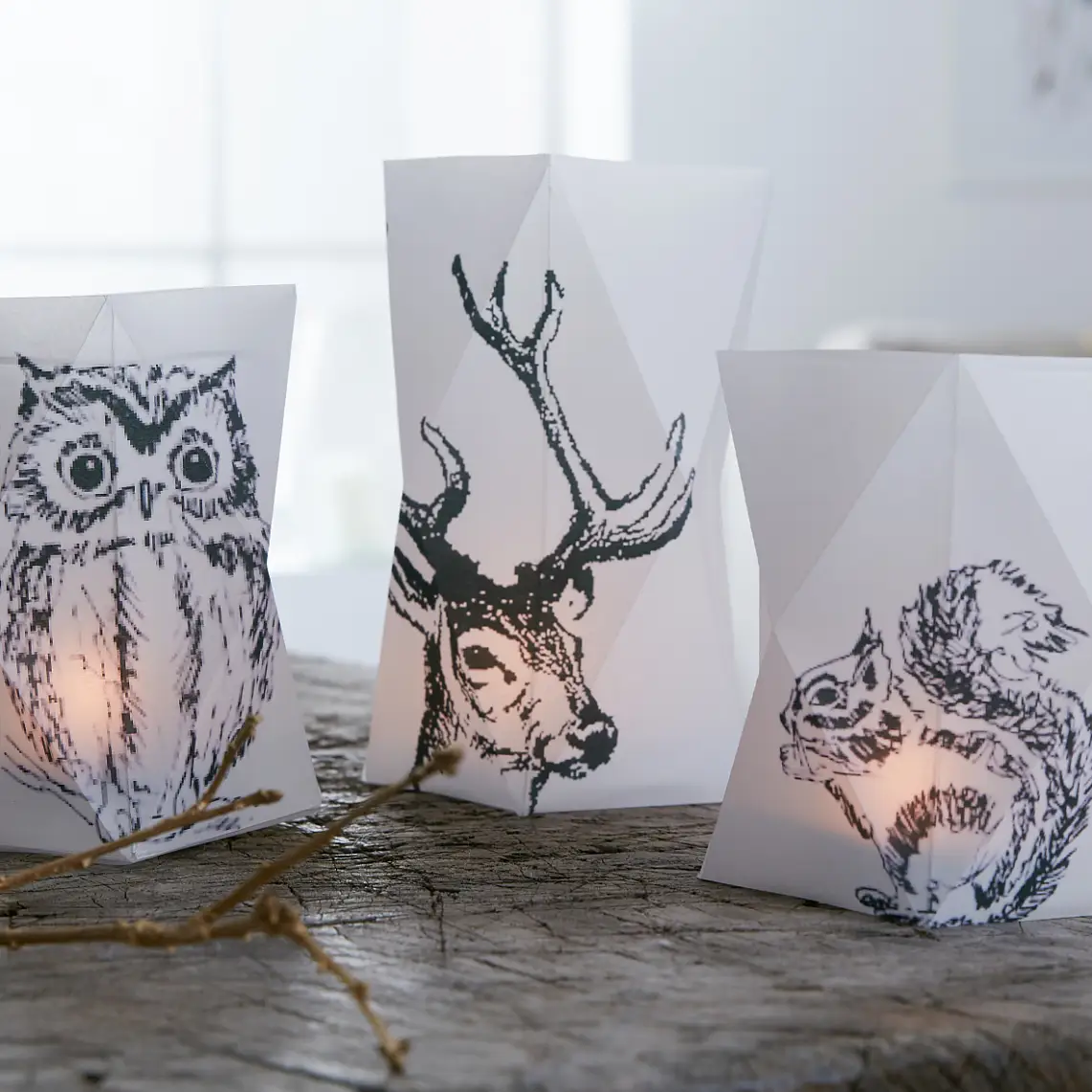 Not only all colors will agree in the dark. Also the forest animals shed their colors and appear in black. However, the candles in the folded paper lanterns make the animals glow.