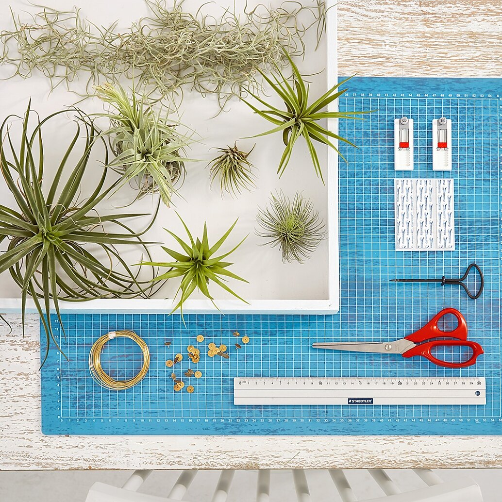 The items needed to create an indoor vertical garden. Übersicht der benötigten Materialien zum Bau des Hängegartens.