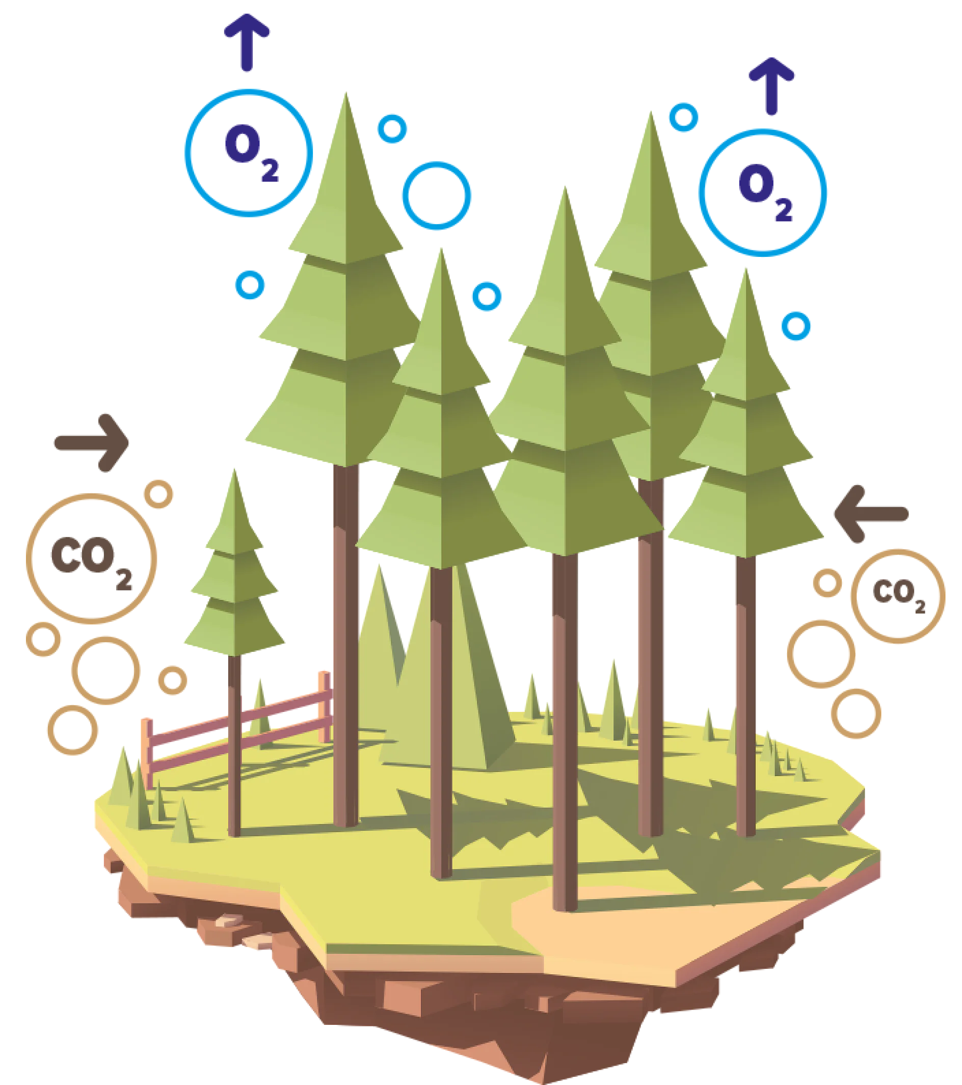 tree_illu tree_illu