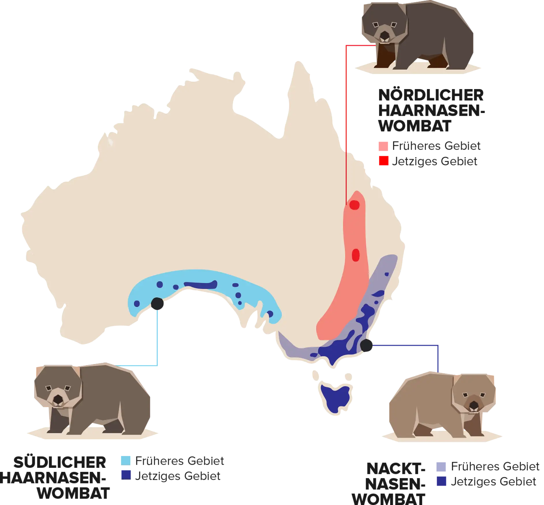 Wombat map