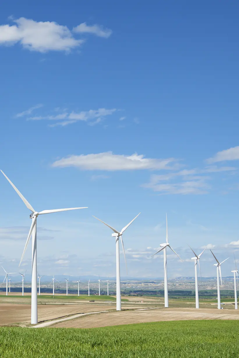 A field of white wind turbines under a blue sky with a few clouds. The turbines are positioned in rows on a vast stretch of farmland. The landscape appears green and brown, indicating a mix of grass and plowed fields. (This text has been generated by AI)