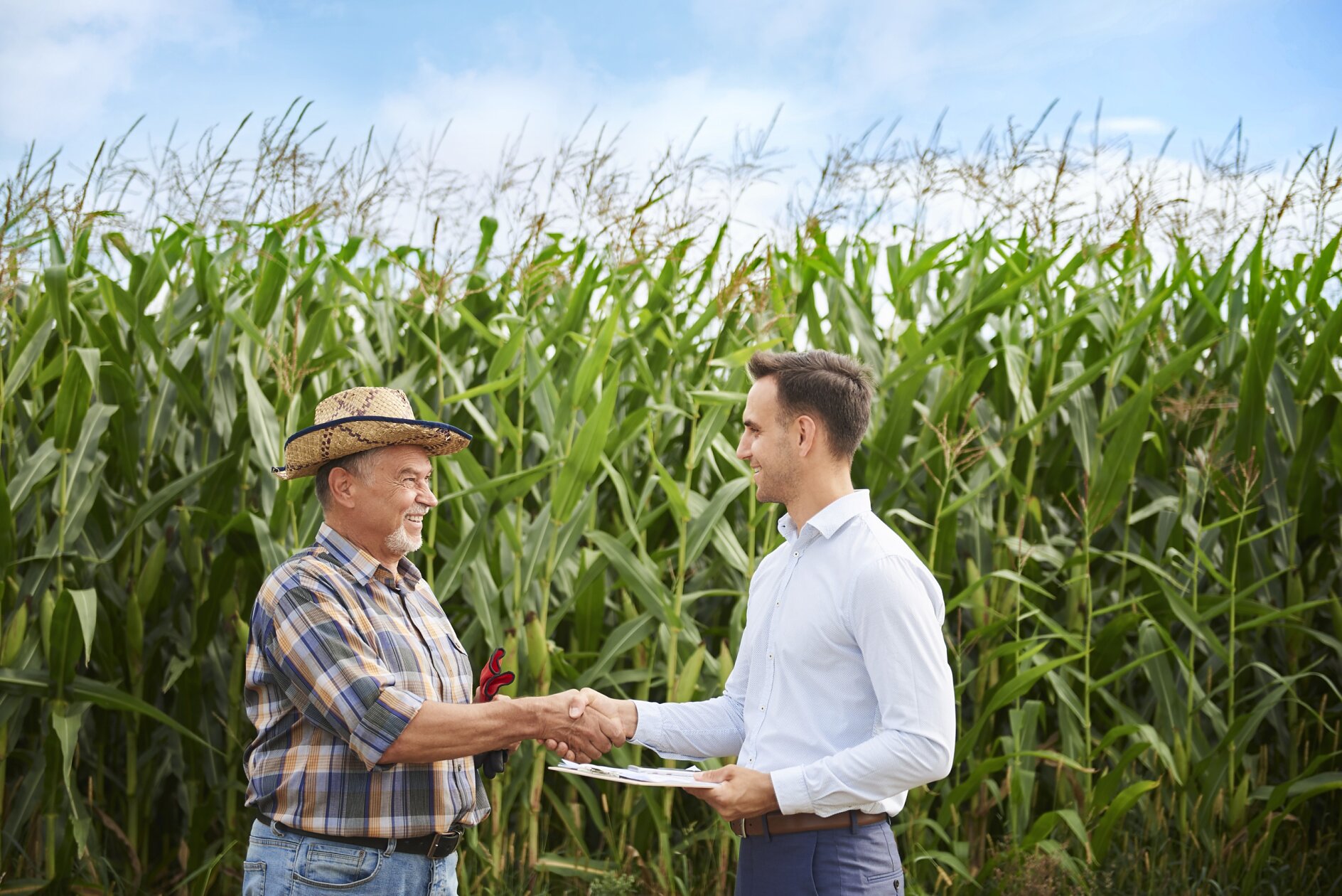 An older man in a plaid shirt and cowboy hat shakes hands with a younger man in a white button-up shirt. They stand in front of a cornfield under a blue sky. The younger man holds a clipboard, papers, and tesa tape. (This text has been generated by AI)