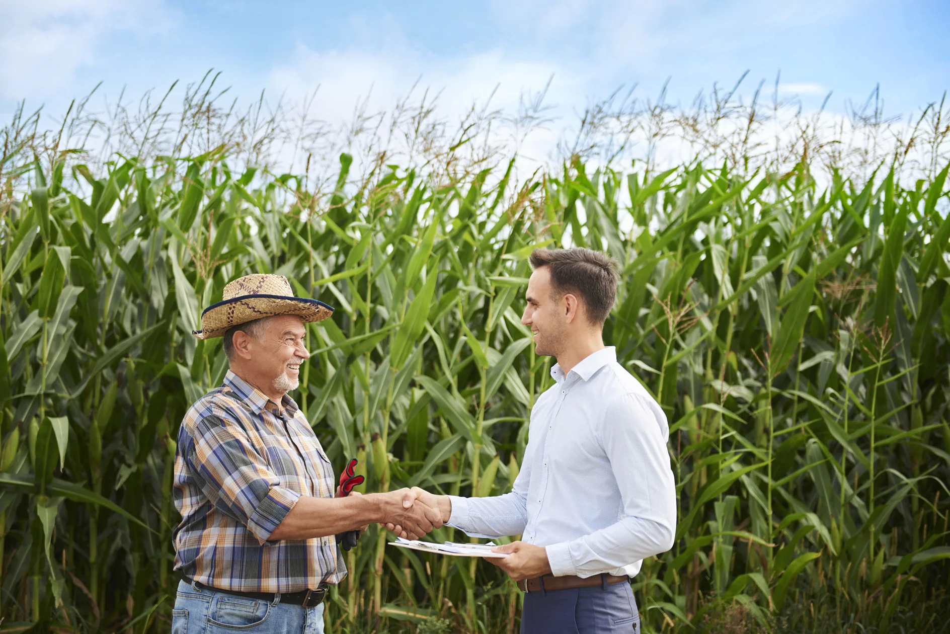 An older man in a plaid shirt and cowboy hat shakes hands with a younger man in a white button-up shirt. They stand in front of a cornfield under a blue sky. The younger man holds a clipboard, papers, and tesa tape. (This text has been generated by AI)