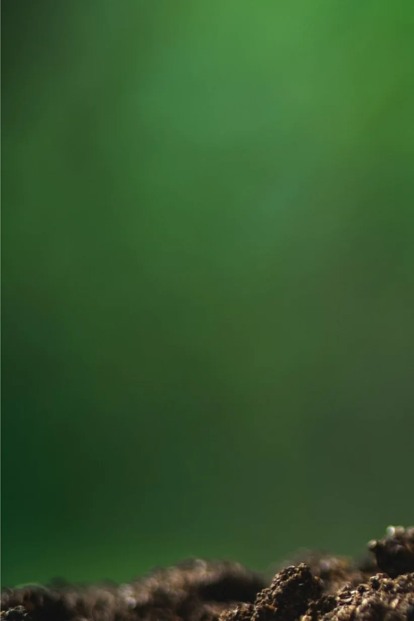 00 00
