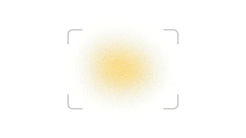 6-focus white