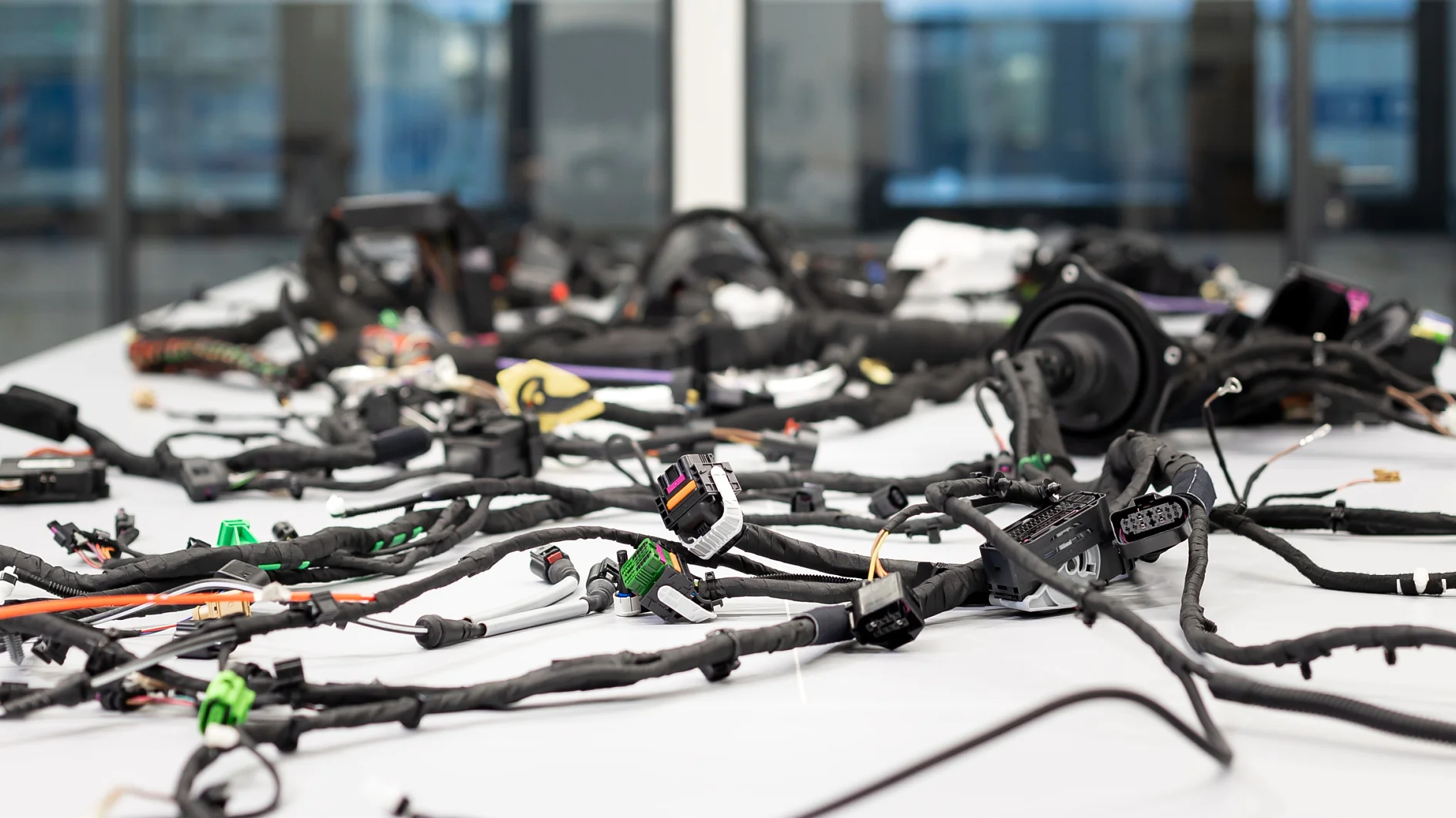 ES Photoshooting 12/18/2023