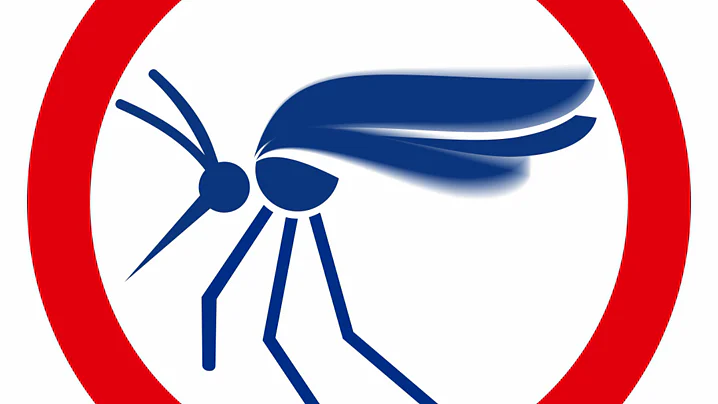 A blue silhouette of a mosquito with blurred wings is enclosed in a red circle, suggesting a prohibition or warning related to mosquitoes. The background is white. (This text has been generated by AI)