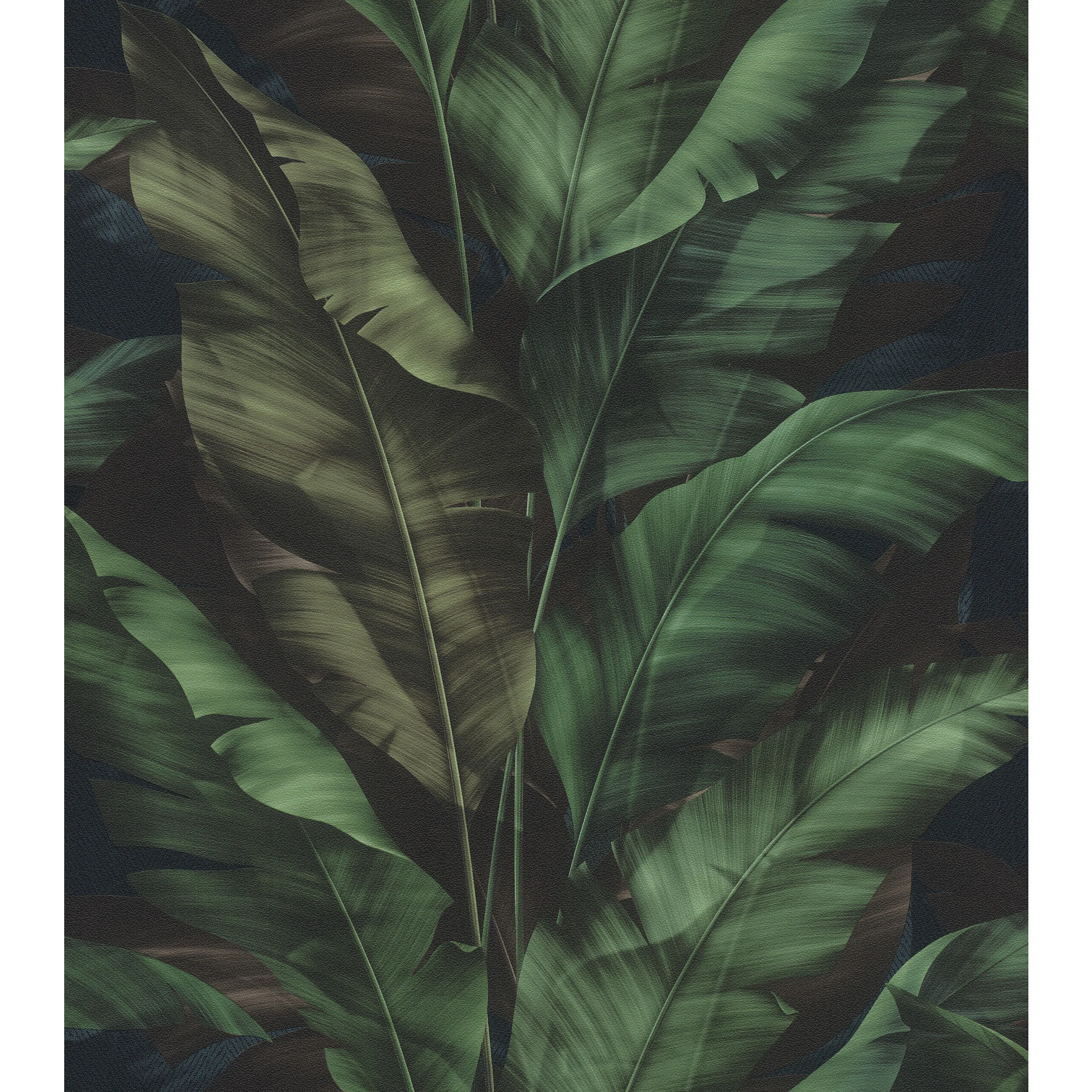 tesa_rasch_4000441370034_73001-00000-00_pr