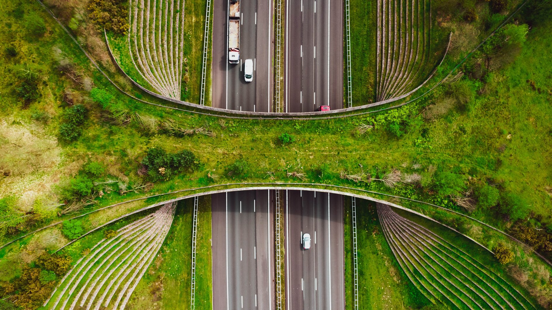 Aerial view of a highway with vehicles, featuring a green wildlife overpass with grass and plants spanning across the road, surrounded by sloped, landscaped embankments. tesa tape can be used in various applications during the construction and maintenance of such infrastructures. (This text has been generated by AI)