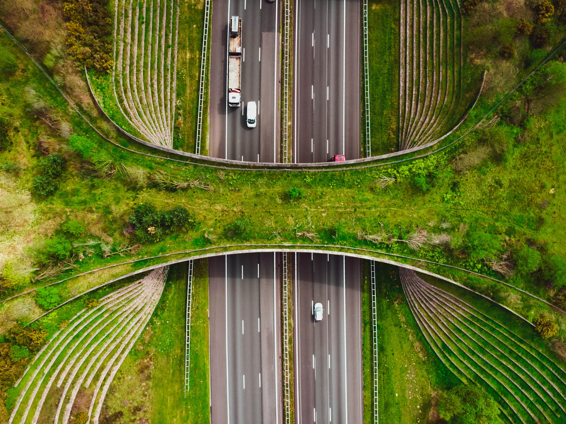 Aerial view of a highway with vehicles, featuring a green wildlife overpass with grass and plants spanning across the road, surrounded by sloped, landscaped embankments. tesa tape can be used in various applications during the construction and maintenance of such infrastructures. (This text has been generated by AI)