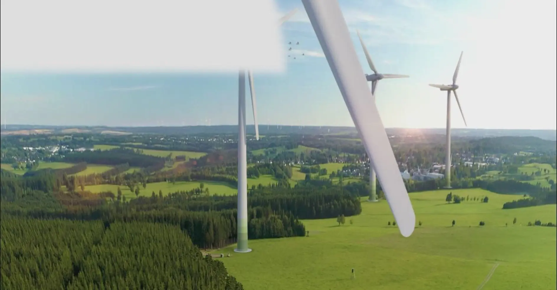 tesa Sustainability Campaign, Hero Video, wedo, Dolly, Landing Page 1200 x 627