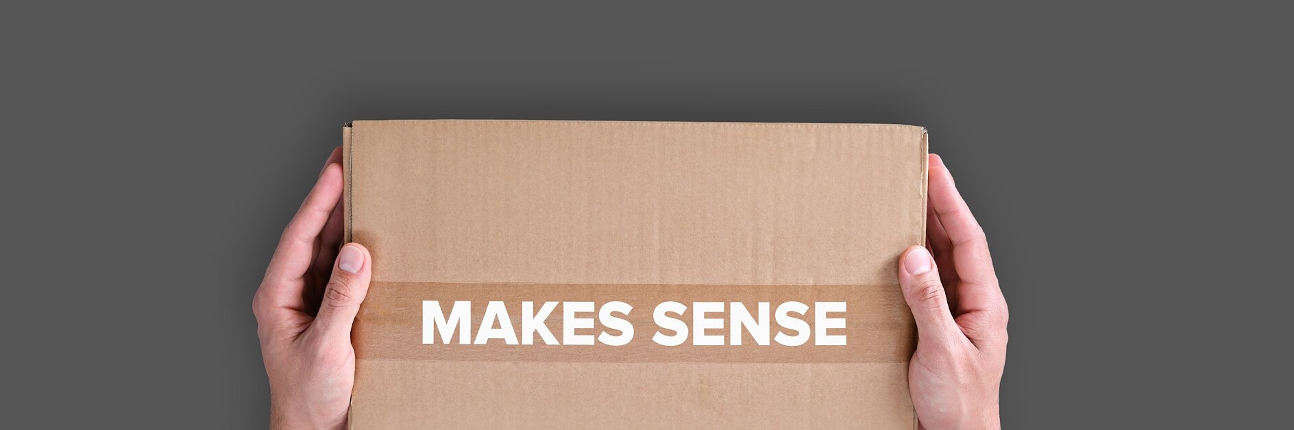 Dos manos sostienen una caja de cartón cerrada sobre un fondo gris. La caja tiene impresa en el frente la frase MAKES SENSE (Tiene sentido) en letras mayúsculas blancas, cuidadosamente sellada con cinta adhesiva Tesa. (This text has been generated by AI)