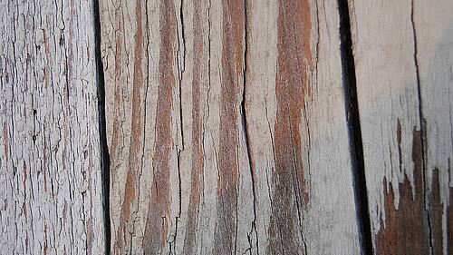 Cintas profesionales tesa® para superficies de madera
