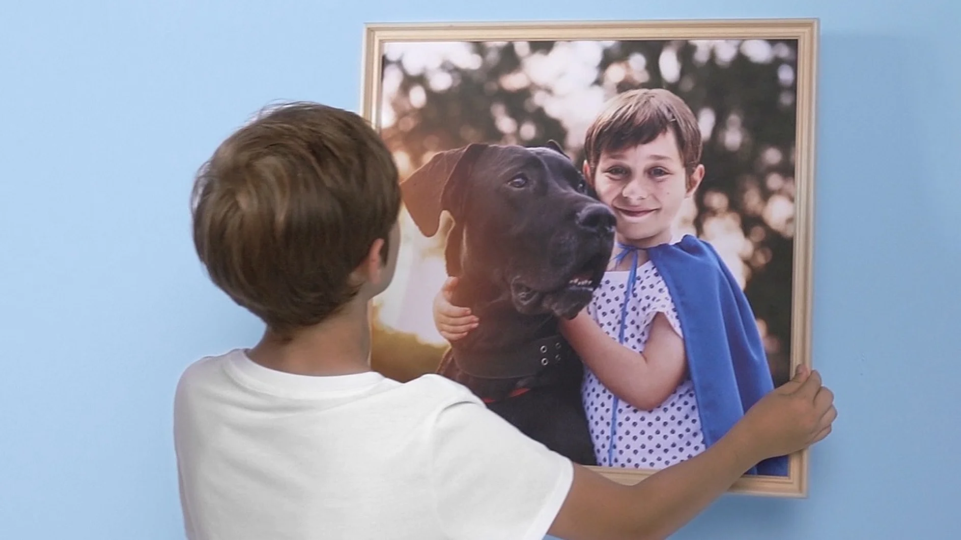 A child in a white shirt is hanging a framed photo on a blue wall using tesa tape. The photo features a young boy wearing a blue cape and smiling while hugging a large black dog. The background in the photo shows blurred greenery. (This text has been generated by AI)