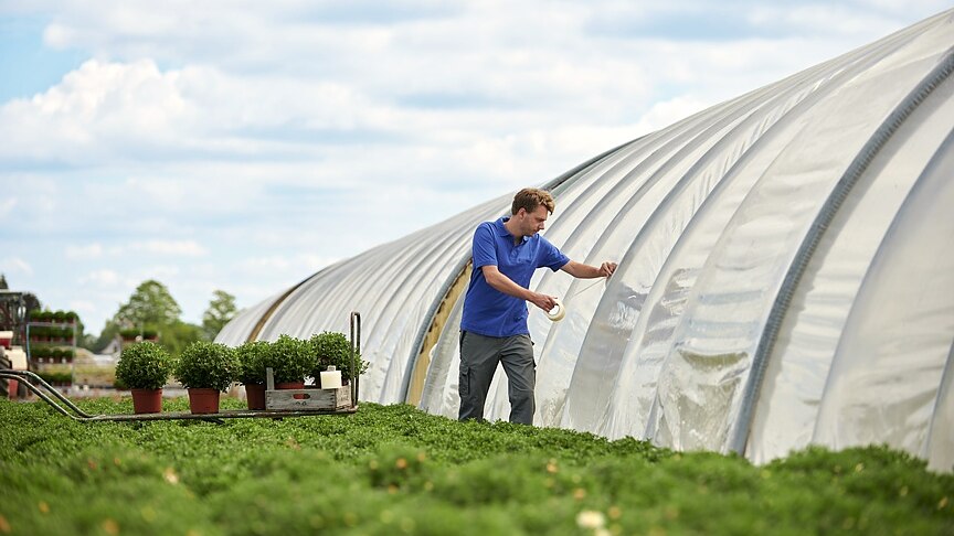 tesa® 4646 Greenhouse Repairing Tape tesa® 4646 Greenhouse Repairing Tape