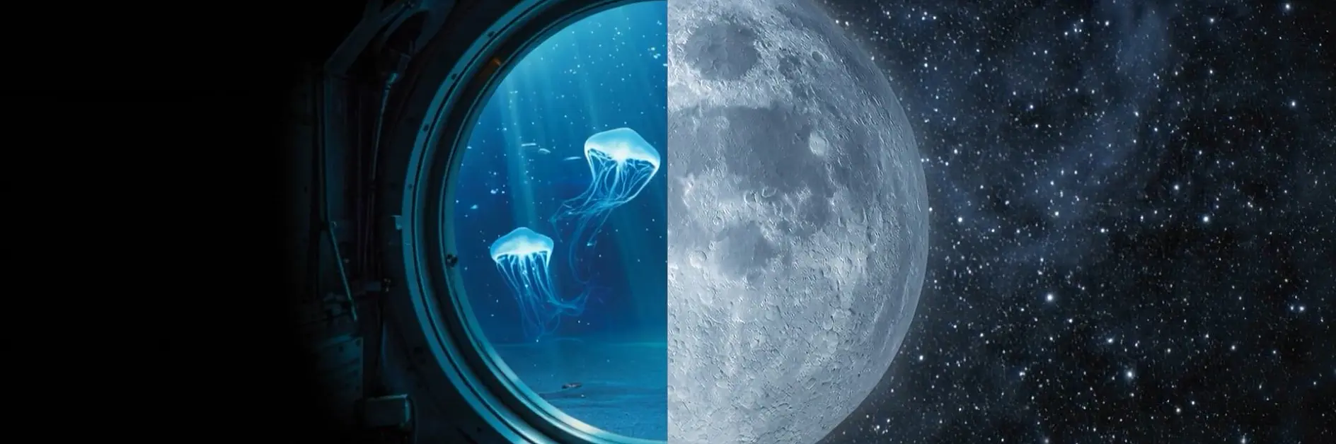 sea_space_16_9_puhdas (1)