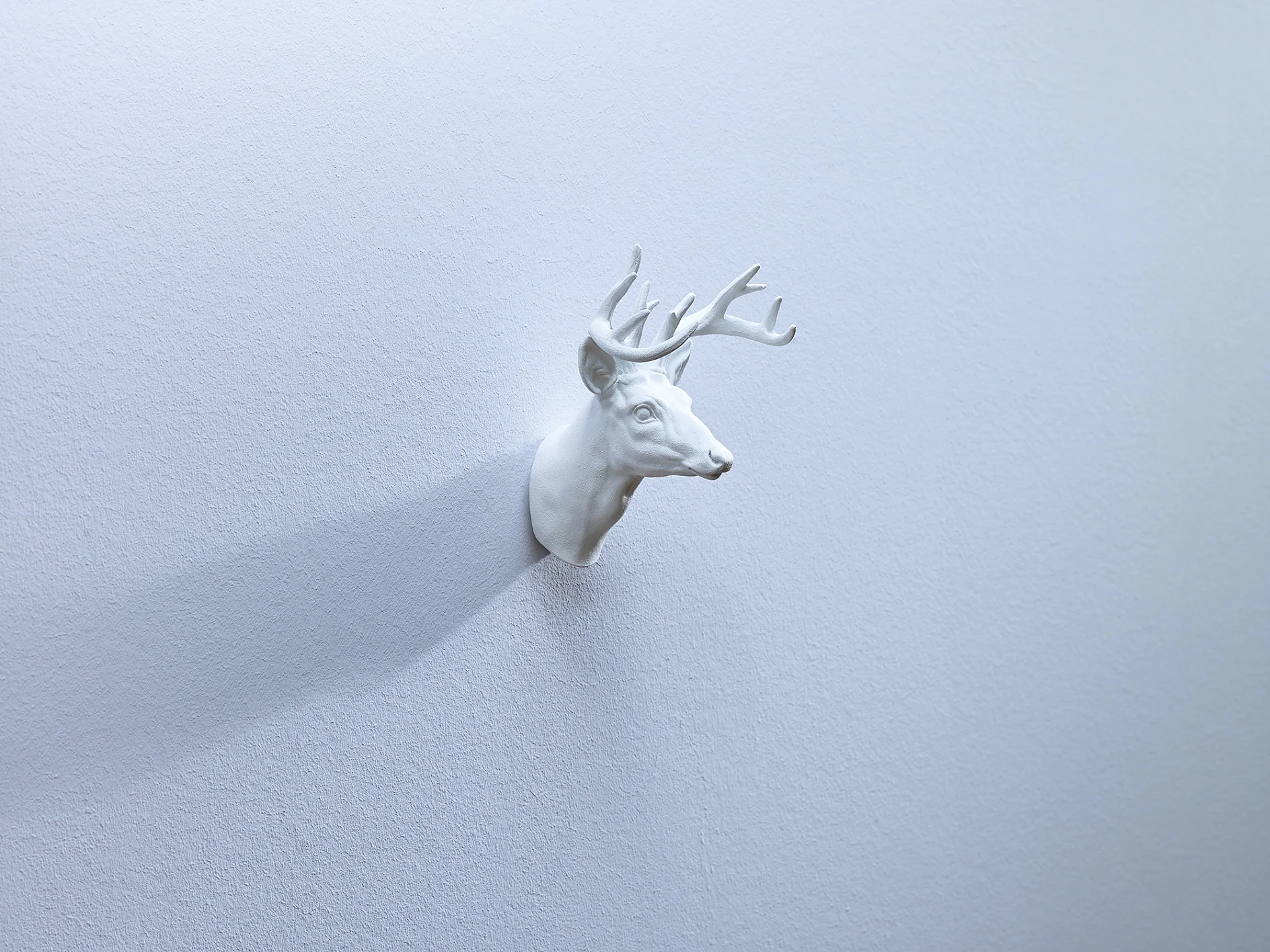 A white sculpted deer head with antlers is mounted on a plain white wall, secured using tesa tape. The sculpture casts a shadow to the right against the wall, creating a minimalist and monochromatic aesthetic. (This text has been generated by AI)