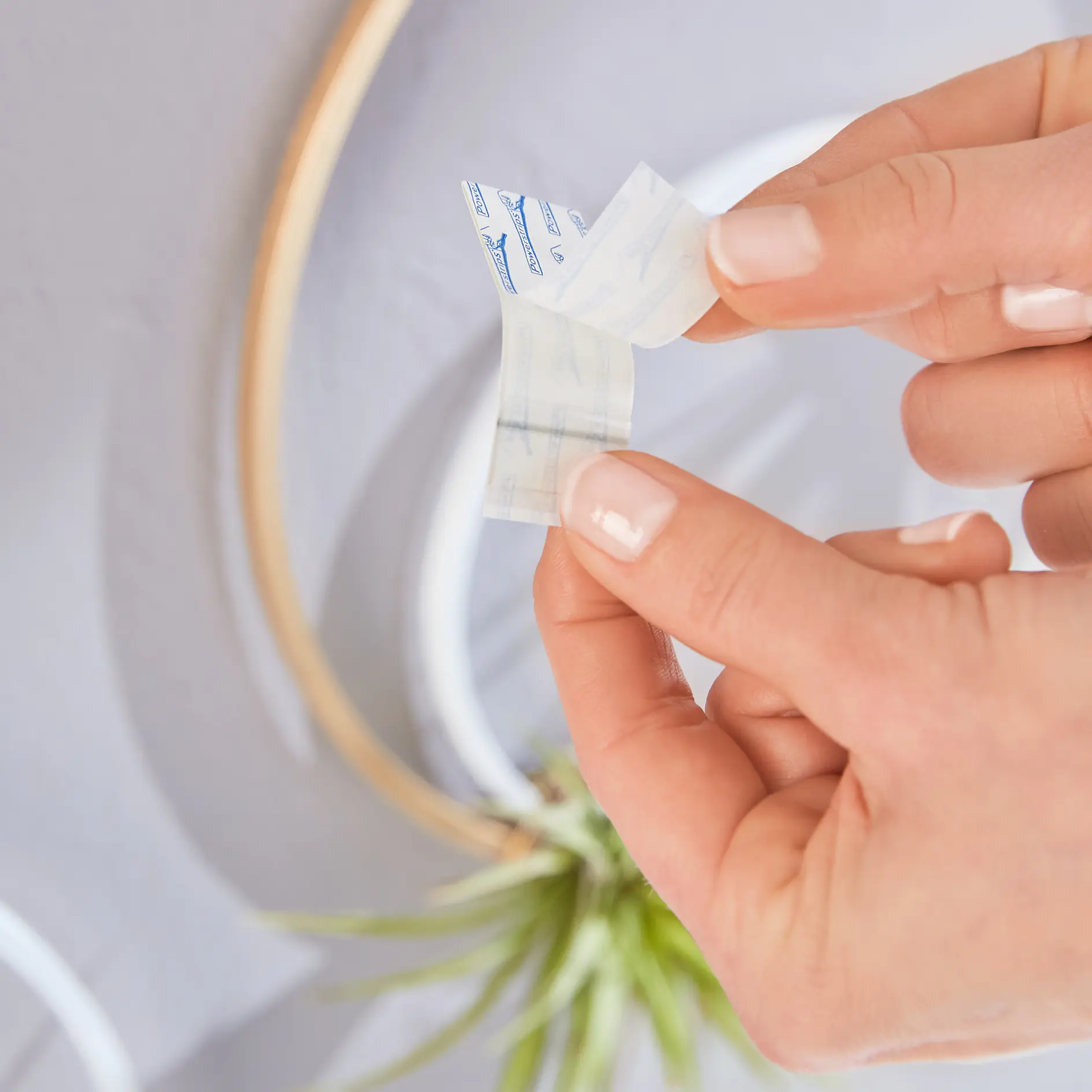 A person peeling the backing off a small tesa tape adhesive strip on a wall. A gold circular frame and a small plant are partially visible in the background. The persons hands are holding the strip, displaying the adhesive side. (This text has been generated by AI)