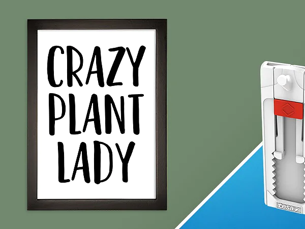 A framed sign with the text Crazy Plant Lady in bold letters is on the left. On the right is a white tesa tape strip with gray and red details, set against a background split diagonally into blue and green sections. (This text has been generated by AI)