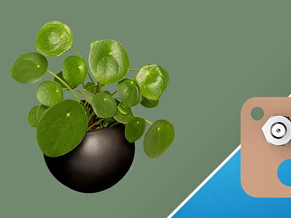 A plant with round green leaves in a black pot is on the left against a green background. On the right, a tan geometric shape with blue and a circular metallic object is set against a blue triangle using tesa tape for secure attachment. (This text has been generated by AI)