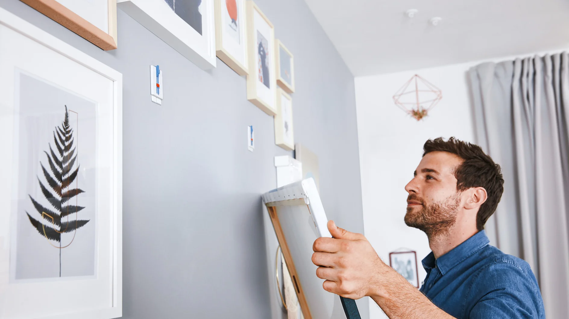 A man in a blue shirt hangs a picture on a gray wall adorned with various framed artworks using tesa tape. The image hes holding appears to be a painting or photograph with a white frame, secured by tesa tape. Natural light comes in through a window with light-colored curtains. (This text has been generated by AI)