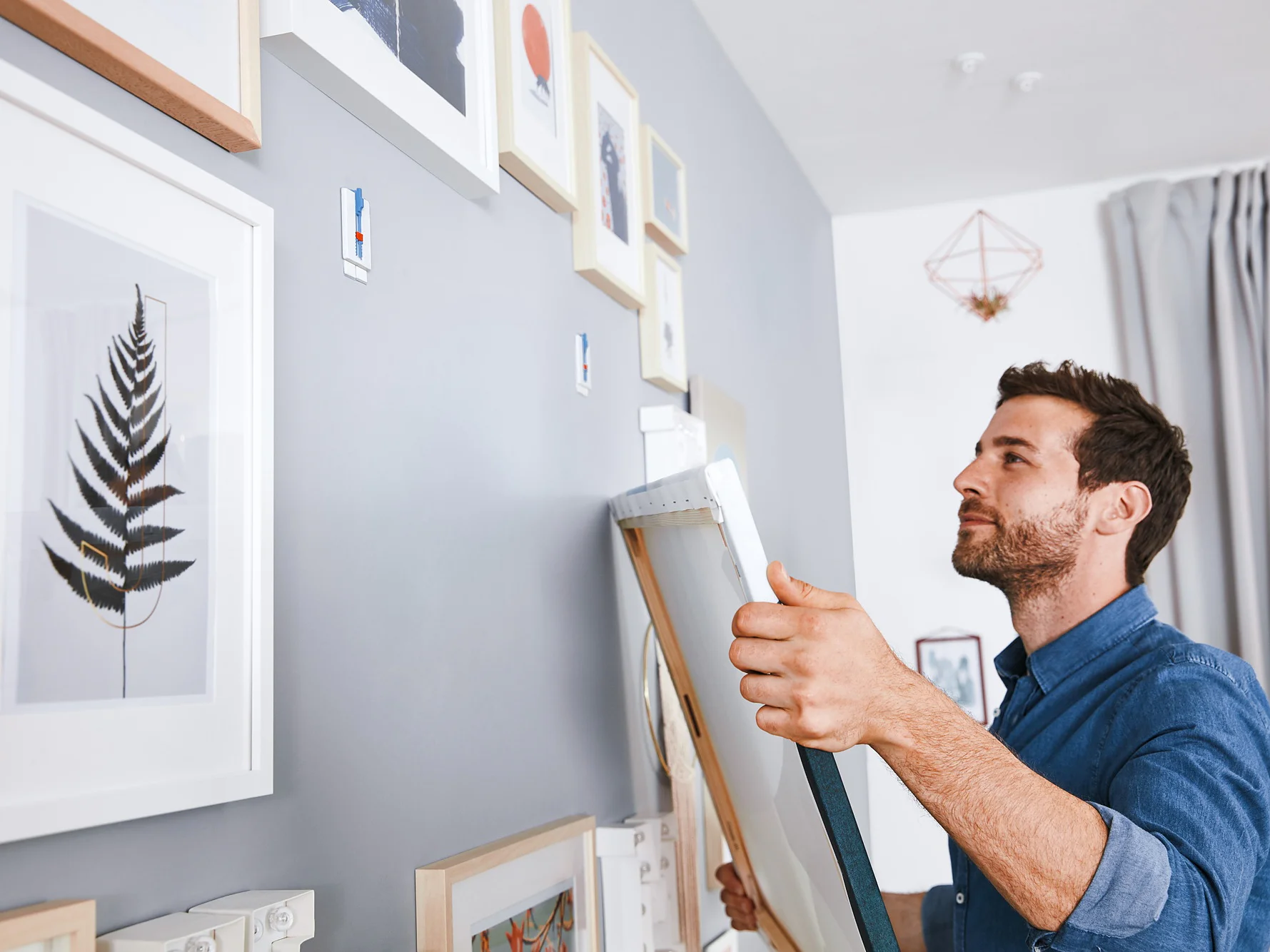 A man in a blue shirt hangs a picture on a gray wall adorned with various framed artworks using tesa tape. The image hes holding appears to be a painting or photograph with a white frame, secured by tesa tape. Natural light comes in through a window with light-colored curtains. (This text has been generated by AI)