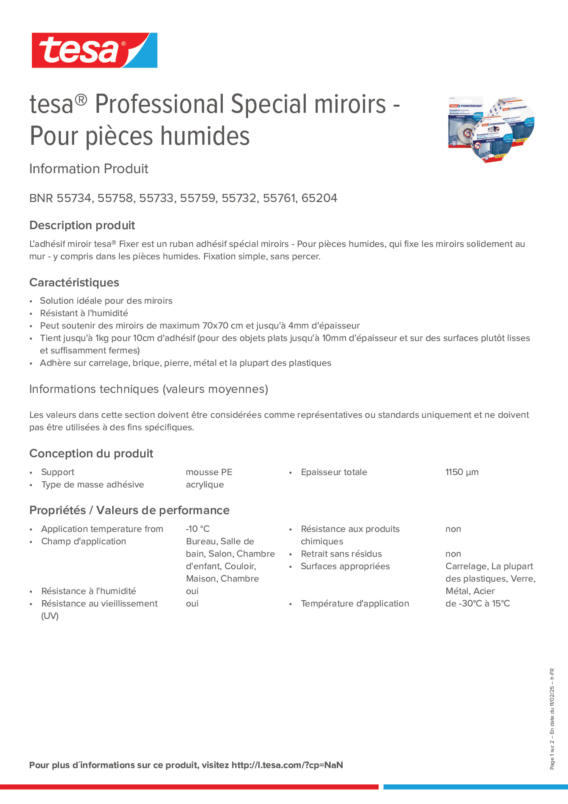 Product information_tesa® Professional 55733_fr-FR