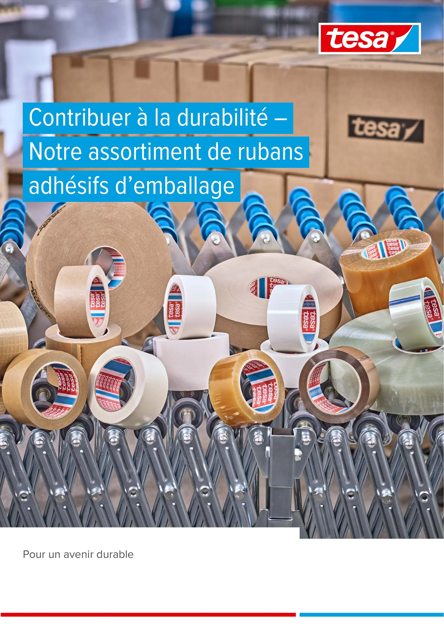 tesa More Sustainable Packaging Brochure FR Web 2024