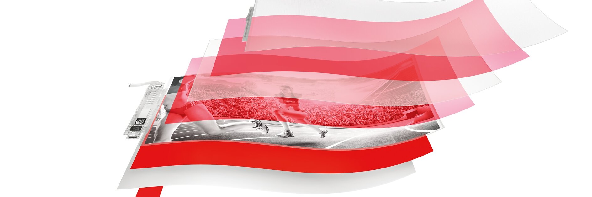 Écran OLED flexible