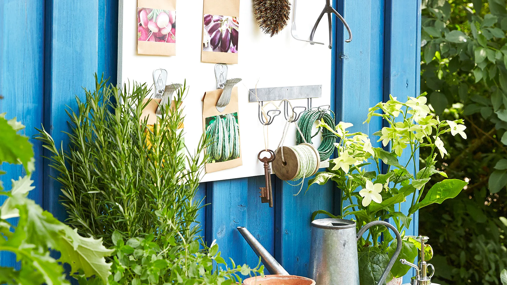 Keep your packets of seeds, and garden tools, in perfect order by arranging them on a white-varnished wooden board. Ultra strong double-sided tape can be used to fix decorative metal clasps and metal hook strips firmly in place.