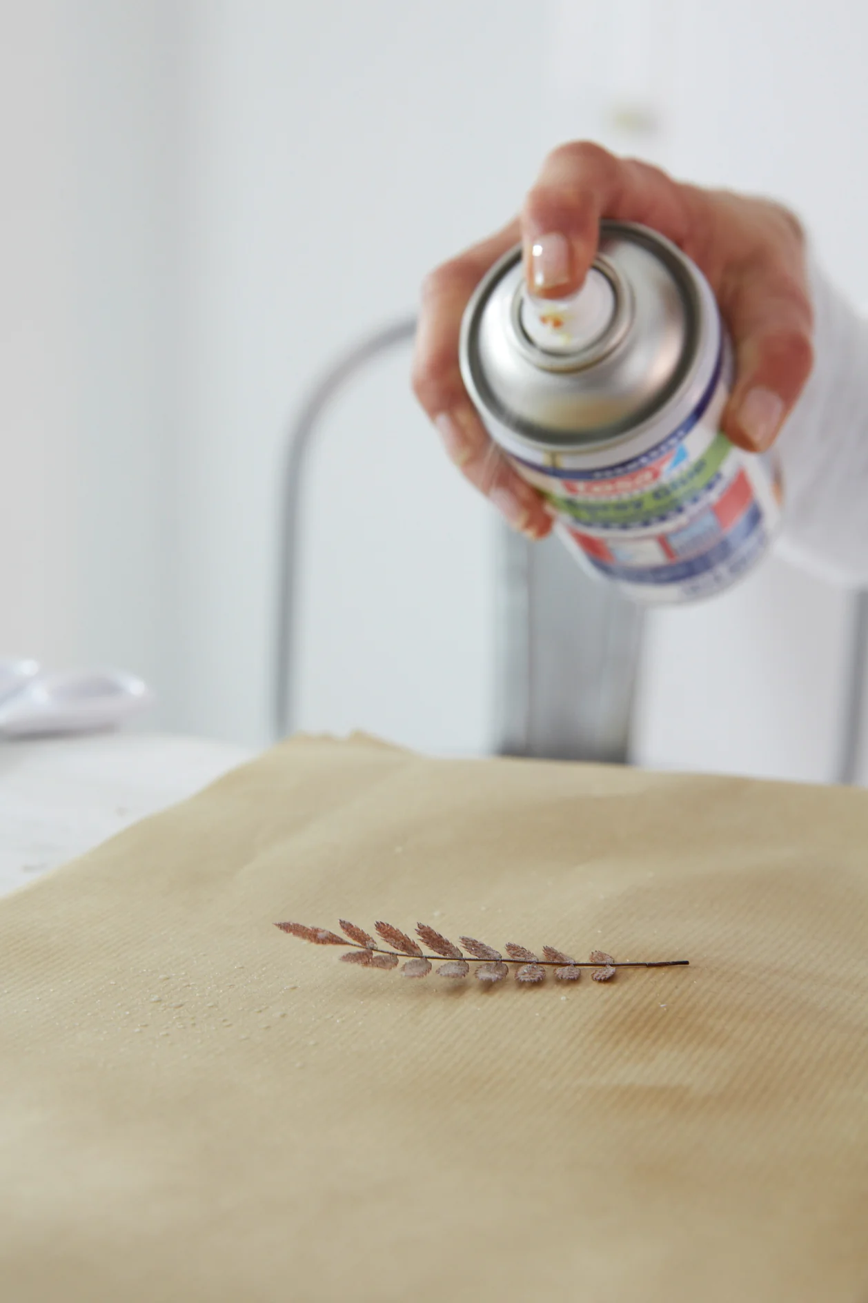 Spray a leaf with spray glue.