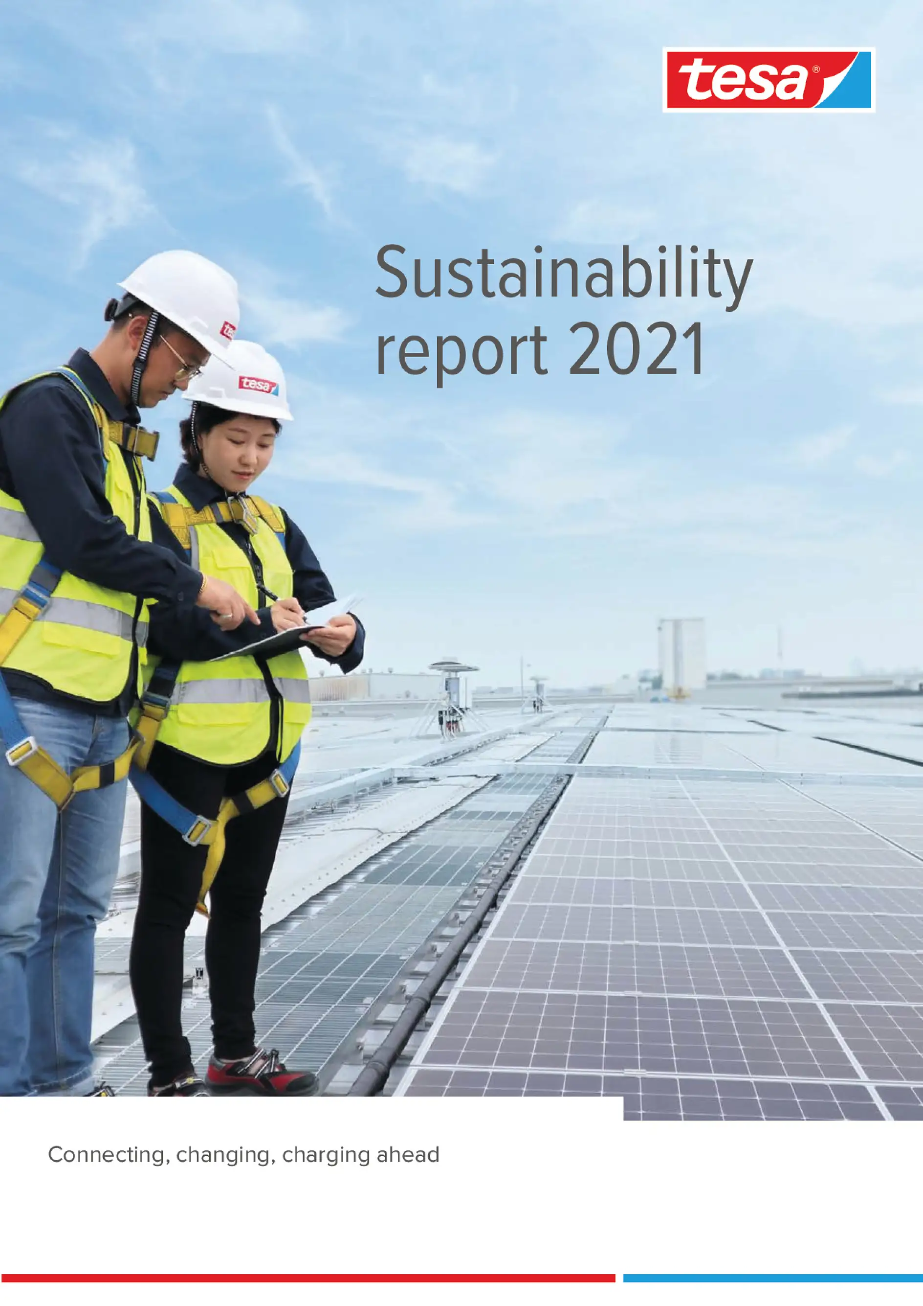 Rapporto sulla Sostenibilità 2021