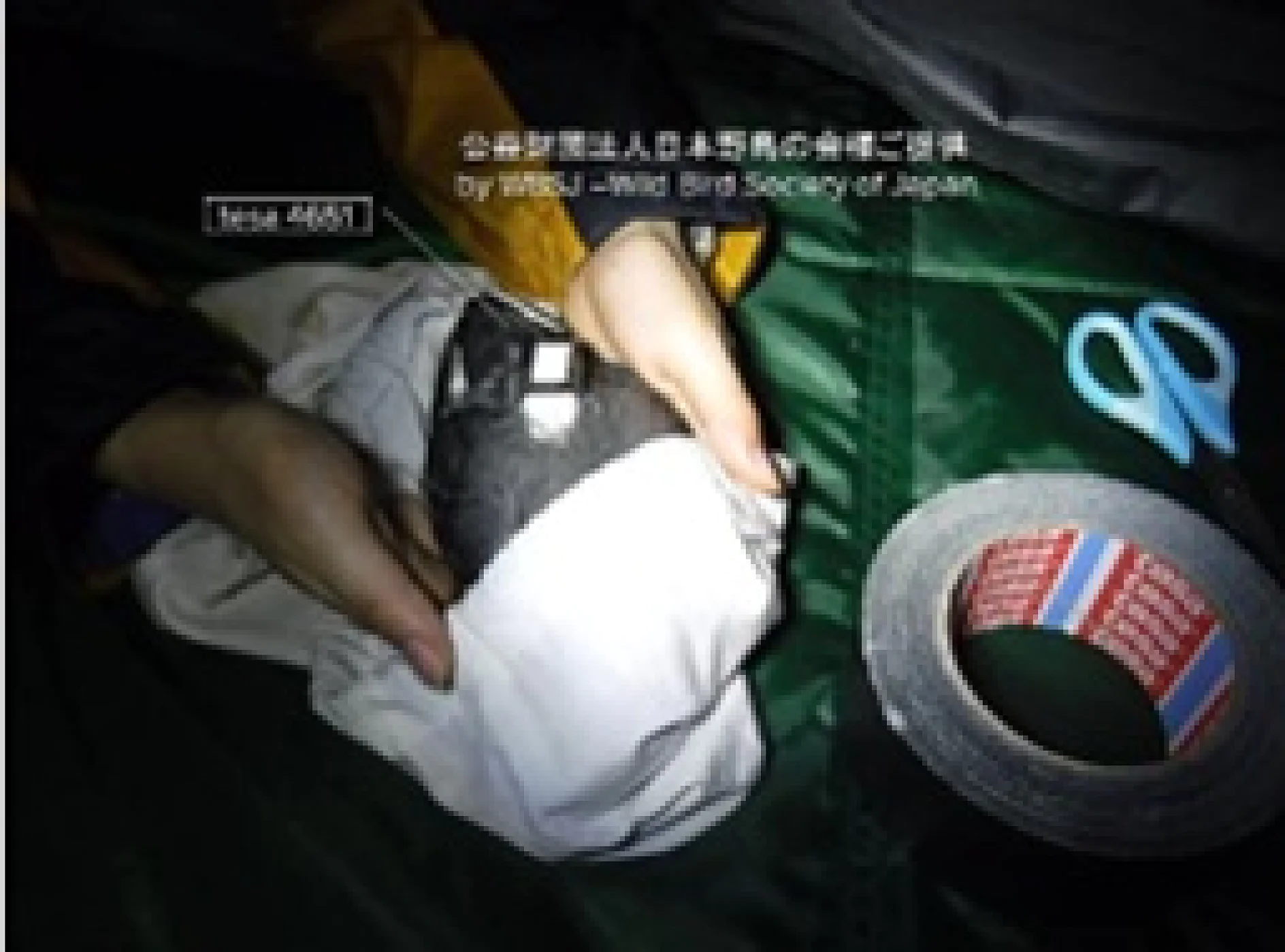 2018図2 2018図2