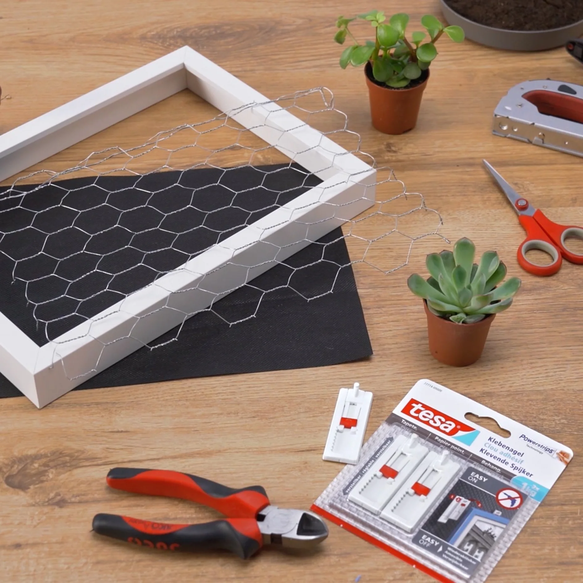 A DIY project setup on a wooden table includes a white frame with chicken wire, small potted plants, red-handled scissors, a black cloth, a staple gun, red-handled pliers, and a pack of tesa tape adhesive strips. (This text has been generated by AI)