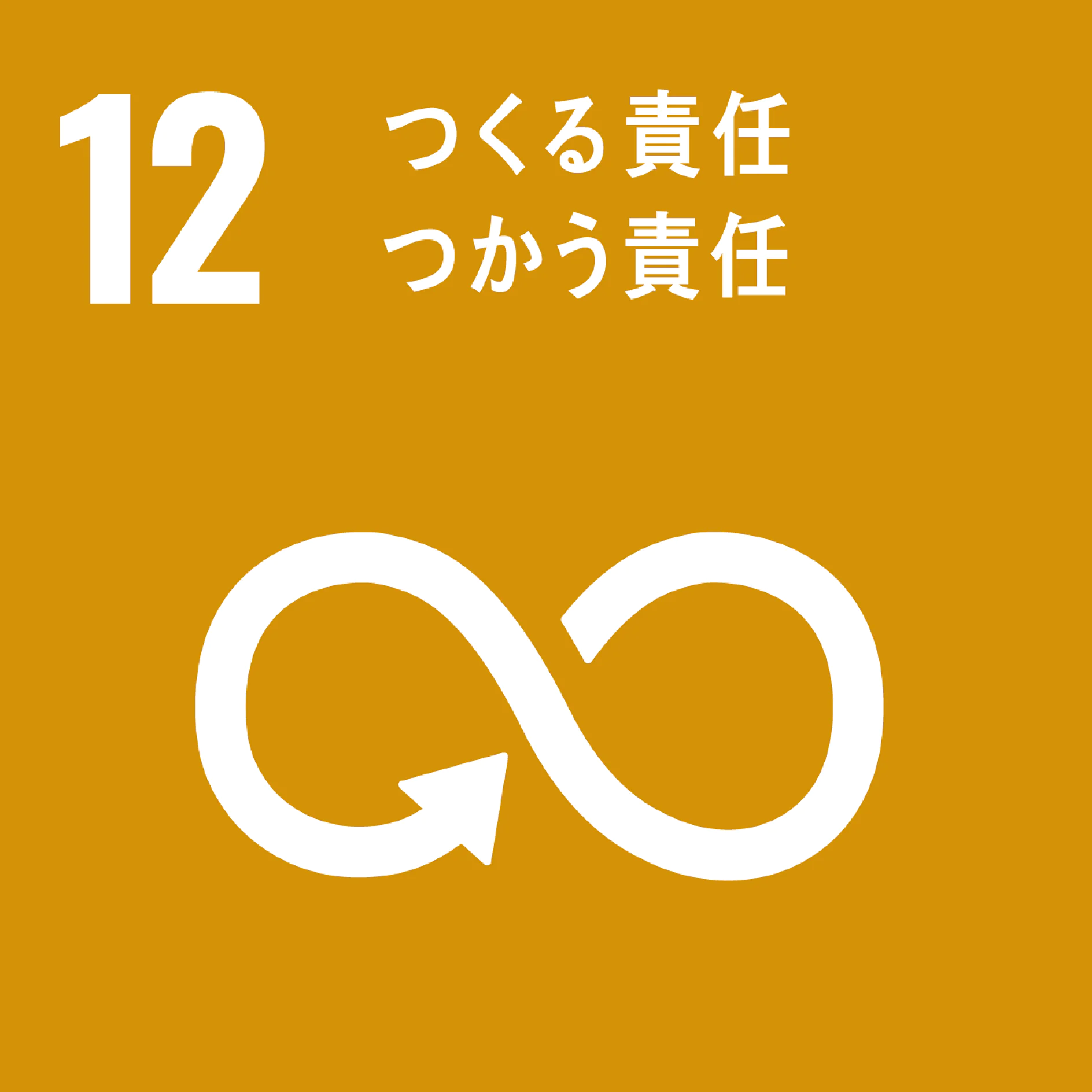 SDGs 目標12：つくる責任・つかう責任