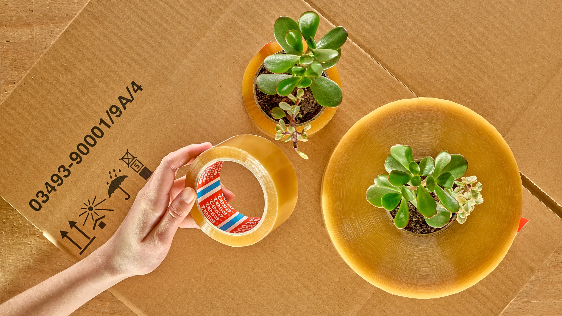 Mood Picture: tesa® 60400 Bio-Based Packaging Tape