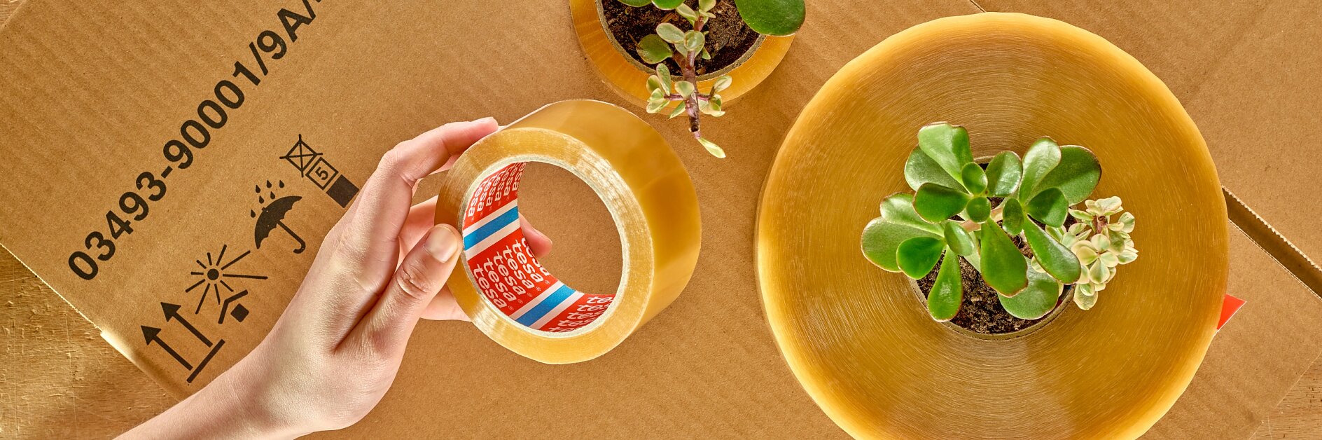 Mood Picture: tesa® 60400 Bio-Based Packaging Tape