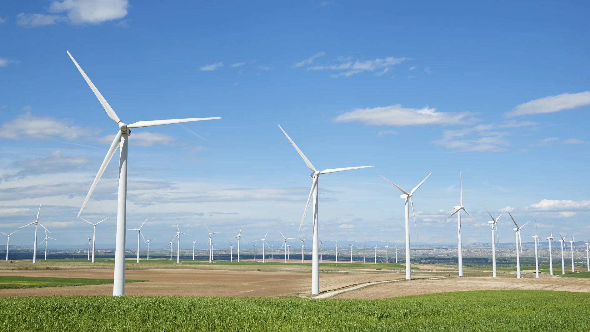 A field of white wind turbines under a blue sky with a few clouds. The turbines are positioned in rows on a vast stretch of farmland. The landscape appears green and brown, indicating a mix of grass and plowed fields.