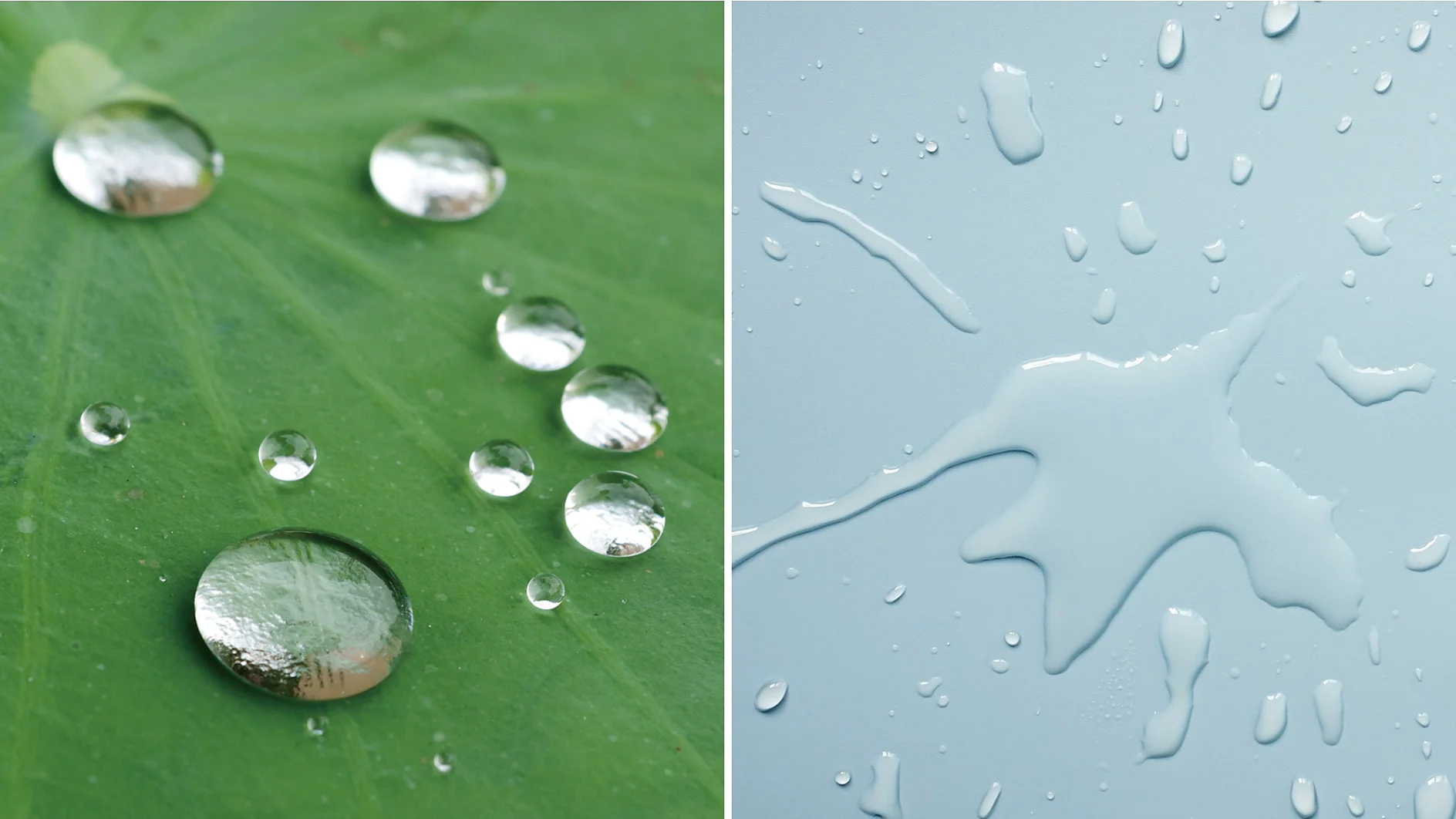 左側では、水滴が緑の葉の表面に留まっています。右側では、水しぶきがテサ テープで固定された水色の表面に広がっています。. (This text has been generated by AI)