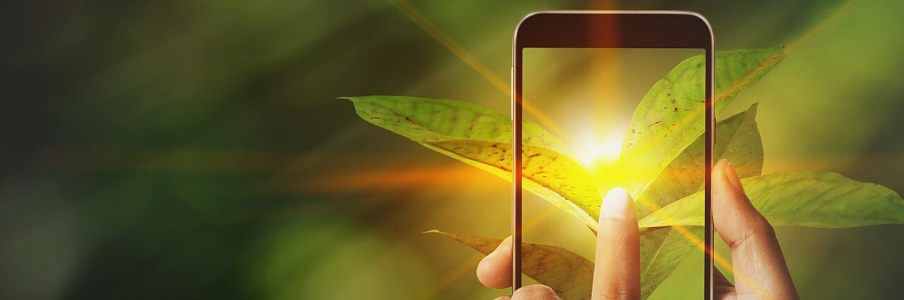 スマートフォンを持った手で、太陽光が差し込む緑の葉の写真を撮影します。画面にも同じ画像が表示され、葉の明るい太陽光効果が強調されます。背景はぼやけた緑色です。. (This text has been generated by AI)