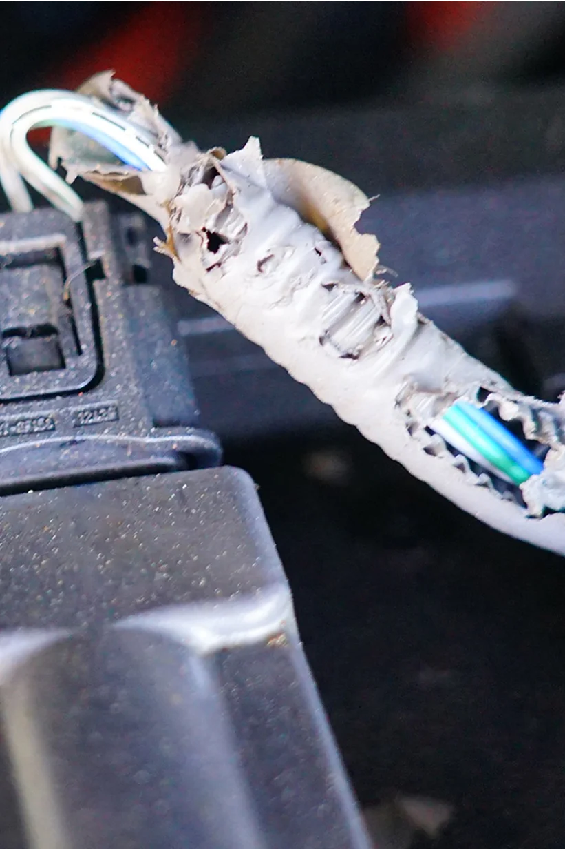 Three electrical connectors with visible damage to the insulation, exposing wires. The insulation appears chewed or torn, showing multiple colored wires inside. The connectors are attached to a black base and wrapped with tesa tape for added protection. (This text has been generated by AI)