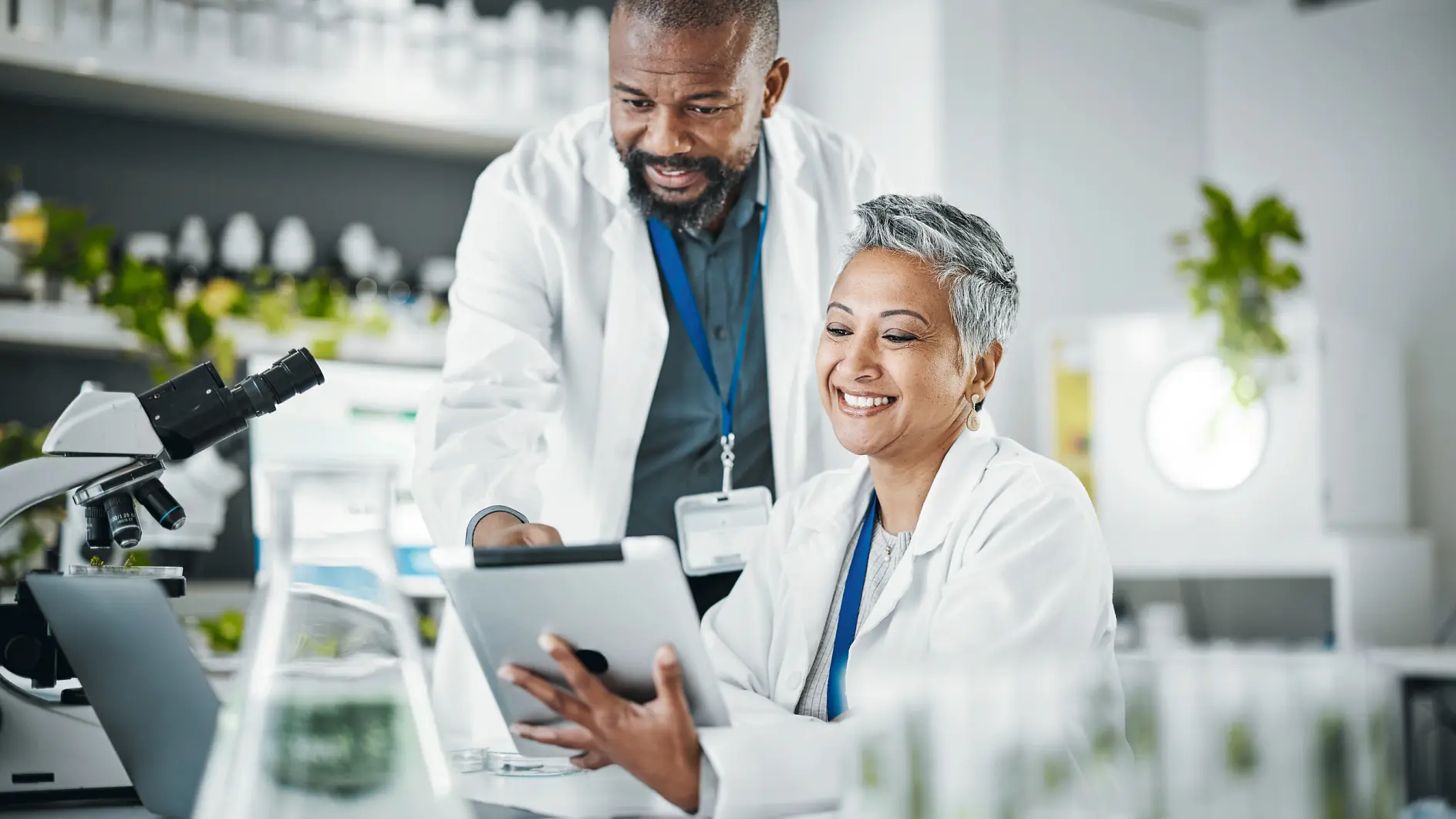 Two scientists in white lab coats using a tablet in a bright laboratory with microscopes and glassware on the table tesa