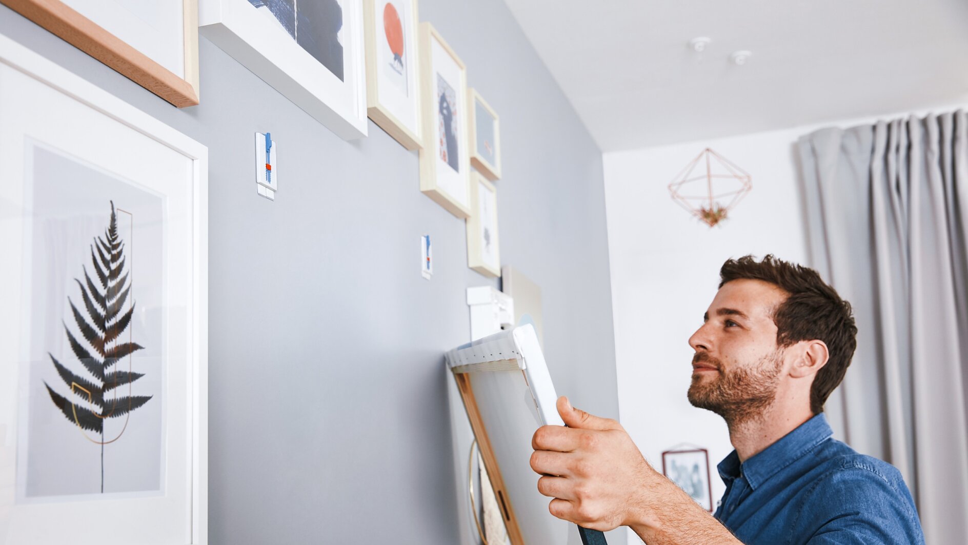 A man wearing a blue shirt is hanging a picture frame on a gray wall using tesa tape. The wall has several framed artworks, including a fern print. A curtain and geometric wall decor are visible in the background. (This text has been generated by AI)