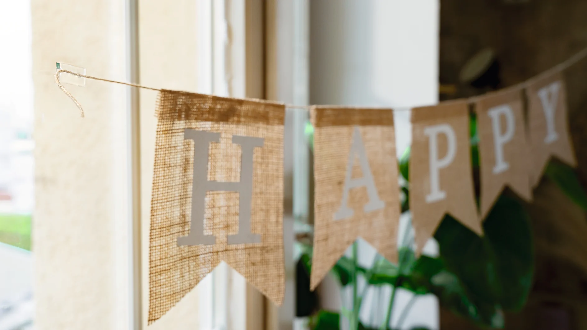 Iekštelpās pie loga karājas rupjdrabļa baneris ar baltiem burtiem, kas uzraksta "HAPPY", un tas ir piestiprināts ar tesa līmlenti. Fonā redzamas zaļas auga lapas. (This text has been generated by AI)